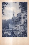 Castel Peles fatada (necirculata)