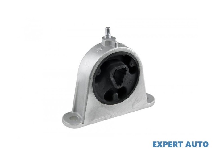 Tampon motor Chrysler Pacifica (2003-2008) #1