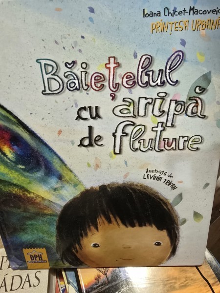 Baietelul cu aripa de fluture - Ioana Chicet-Macoveiciuc