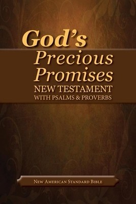 God&amp;#039;s Precious Promises New Testament-NASB foto
