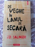 Salinger - De veghe in lanul de secara