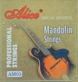 Set corzi Mandolina Alice AM03