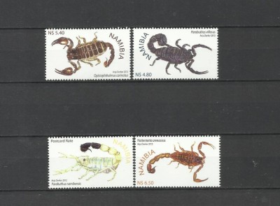 NAMIBIA 2012 FAUNA INSECTE SCORPIONI foto