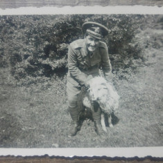 Soldat roman amuzandu-se cu o oaie/ fotografie