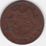 Romania 5 bani 1884, Cupru (arama)