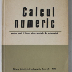 CALCUL NUMERIC , PENTRU ANUL III LICEU , CLASE SPECIALE DE MATEMATICA de VIRGIL BRISCA ...GHEORGHE TUDOR , 1972