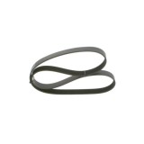 Bosch Curea transmisie cu caneluri