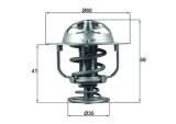 Termostat Lichid Racire 503893 DK102533
