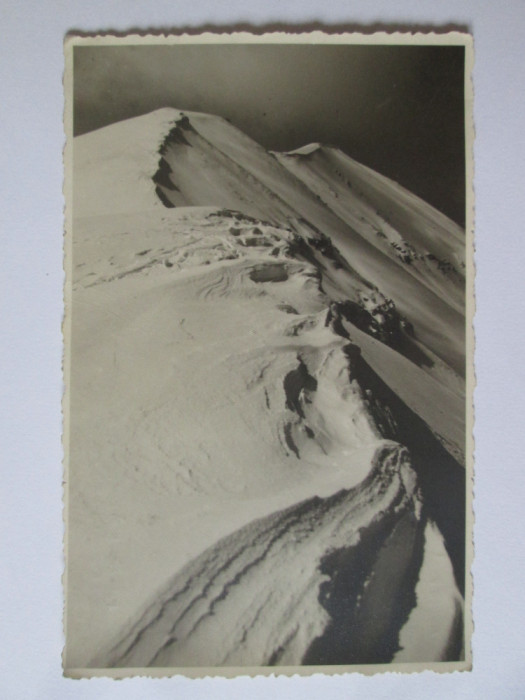 Carte postala foto I.Horvath-Hateg:Muntii Parangului,circulată 1940
