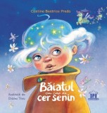 Cumpara ieftin Baiatul Cu Cap De Cer Senin, Cristina Beatrice Preda - Editura DPH