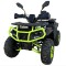 Atv 125cc Rival AFP Pro 8&amp;quot; automat 4T benzina negru/verde