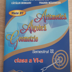 Aritmetică. Algebră. Geometrie / Clasa a VI-a, semestrul II - Artur Bălăucă