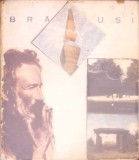 BRANCUSI-MIRCEA DEAC-367206