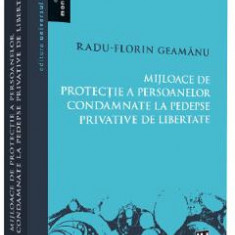 Mijloace de protectie a persoanelor condamnate la pedespse privative de libertate - Radu Florin Geamanu