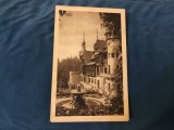Carte postala necirculata - Castelul Peles / Sinaia !, Printata