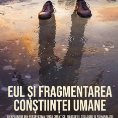 Eul și fragmentarea conștiinței umane. O explorare din perspectiva fizicii cuantice, filozofiei, teologiei și psihanalizei (ebook)