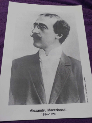 Fotografie Vintage mare originala prof.35/25 cm,ALEXANDRU MACEDONSCHI,1854-1920 foto