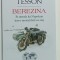 BEREZINA , PE URMELE LUI NAPOLEON INTR- O MOTOCICLETA CU ATAS de SYLVAIN TESSON , 2020