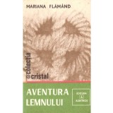Cumpara ieftin Mariana Flamand - Aventura lemnului - 102545