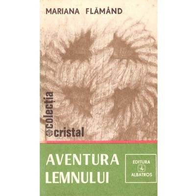 Mariana Flamand - Aventura lemnului - 102545 foto
