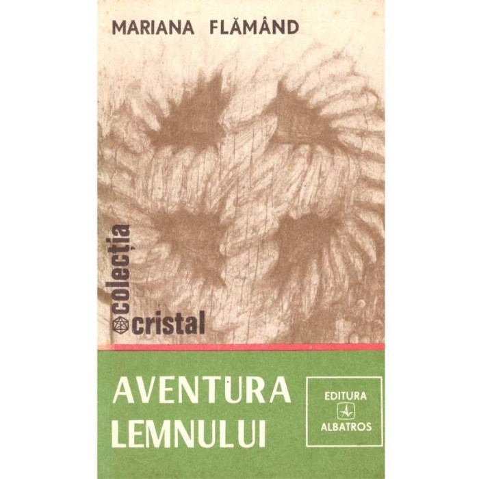 Mariana Flamand - Aventura lemnului - 102545