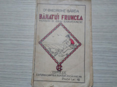 BANATU`I FRUNCEA ! - Versuri in Grai Banatesc Gheorghe Garda - 96 p. foto