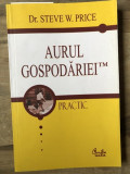 Steve W. Price - Aurul gospodariei