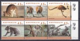 DB1 Fauna Koala Canguri 1994 Australia 6 v. MNH