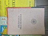 Fagaduiala păcii mondiale vintage