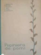 Pepiniera de pomi - T. Bordeianu