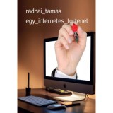 Egy internetes t&ouml;rt&eacute;net - Radnai Tam&aacute;s