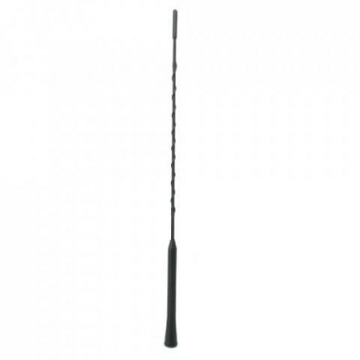 Antena universala auto 41cm filet interior M6 +adaptor filet M6/ M5 Carguard foto