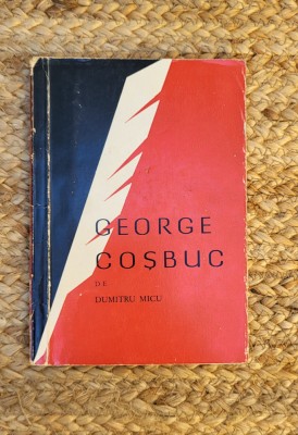 GEORGE COSBUC-DUMITRU MICU foto