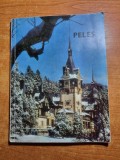 Carte Ilustrată Muzeul Peleș 1974, Album Artă, 120 Pagini - Stare Bună