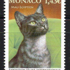 MONACO 2022, Fauna, Pisici serie neuzata, MNH