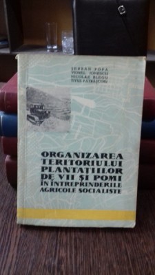 ORGANIZAREA TERITORIULUI PLANTATIILOR DE VII SI POMI - SERBAN POPA foto