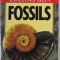 COLLINS GEM FOSSILS by DAVID M. MARTILL , illustrations by MARK ILEY , 1995