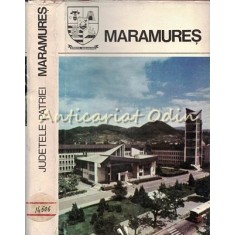 Maramures. Monografie