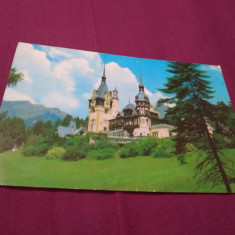 CARTE POSTALA SINAIA CASTELUL PELES -CIRCULATA