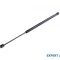 Amortizor capota spate Renault Megane II (2002-2011)[BM0/1_,CM0/1_] #1