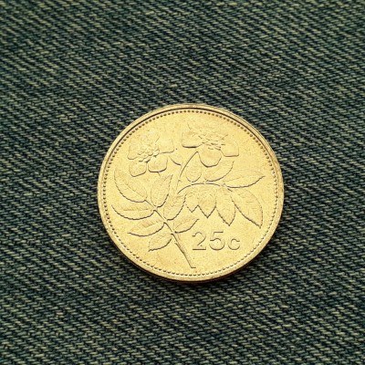 25 Cents 2005 Malta foto