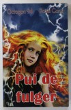PUI DE FULGER de PAVEL CORUT , 2010
