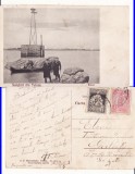 Tulcea - Farul- rara