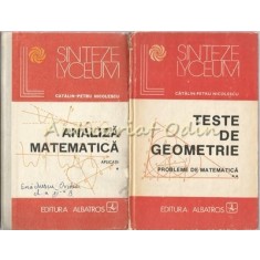 Analiza Matematica. Aplicatii I, II - Catalin-Petru Nicolescu