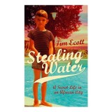 Stealing Water A Secret Life In An African City