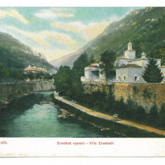 5491 - Baile HERCULANE, Caras-Severin, Romania - old postcard - unused