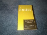 E M FORSTER - O CALATORIE IN INDIA