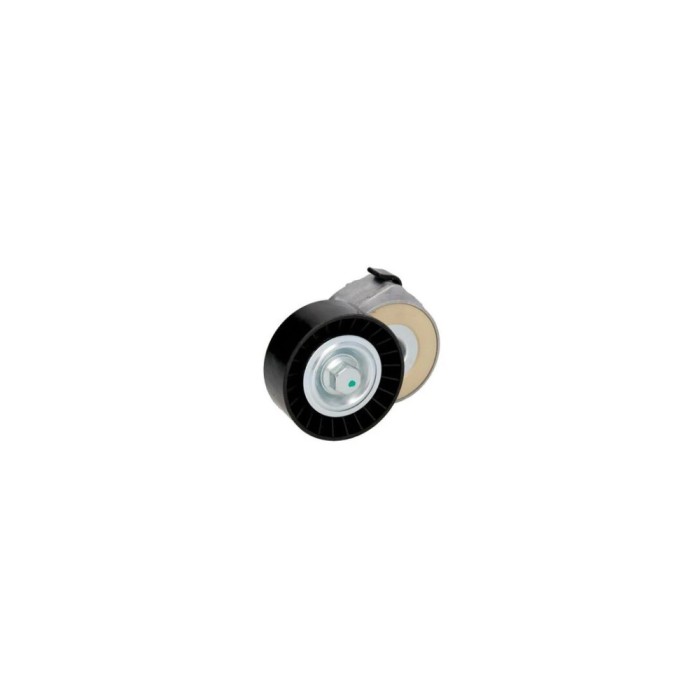 Intinzator curea IVECO DAILY III platou sasiu DAYCO APV1075