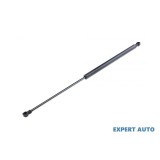 Telescop capota fata Citroen C5 (2001-2004) [DC_] #1