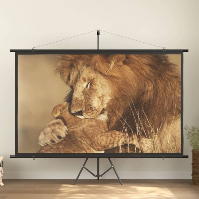 Ecran de proiecție cu trepied, 108&quot;, 16:9